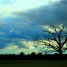 The Light behind the Shadows
